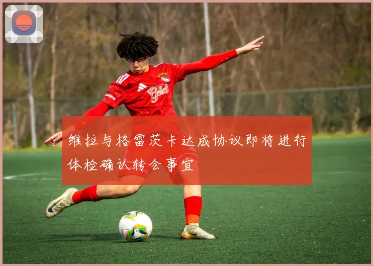 维拉与格雷茨卡达成协议即将进行体检确认转会事宜